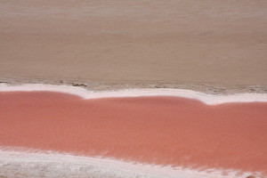 acqua rosa deserto