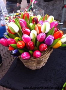 Tulips amsterdam