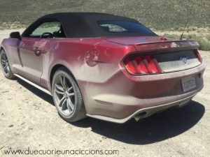 mustang 2